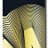 Madrid Street Optic Skateboard Completes