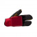 Lush Rasta Deluxe Freeride Gloves
