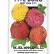 5boro Flower Seed White Decks